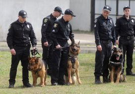 Кинологи с собаками