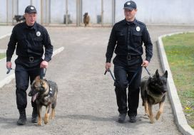 Кинологи с собаками