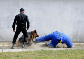 Кинолог с собакой