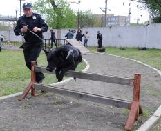 Кинолог с собакой