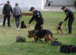 Кинологи с собаками