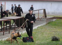 Кинолог с собакой