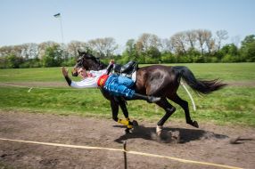 Equestrian sports festival