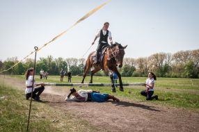 Equestrian sports festival