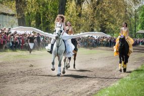 Equestrian sports festival