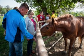 Equestrian sports festival