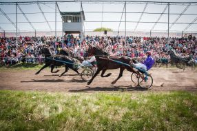 Equestrian sports festival