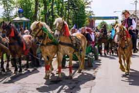 Свято проводів вівчарів на полонину "Весняний полонинський хід"