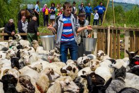 Свято проводів вівчарів на полонину "Весняний полонинський хід"