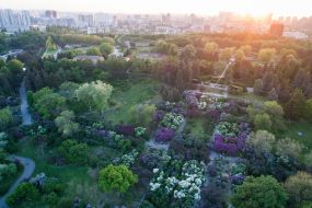 View of the National Botanical Garden. N.N. Grishko