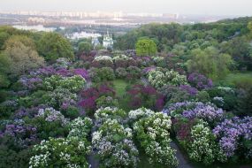View of the National Botanical Garden. N.N. Grishko
