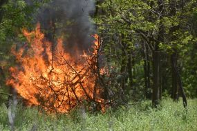 Employees of State Emergency Service eliminated fire