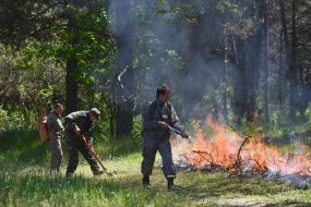 Employees of State Emergency Service eliminated fire