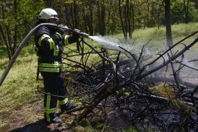 Employees of State Emergency Service eliminated fire