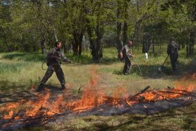 Employees of State Emergency Service eliminated fire