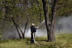 Employees of State Emergency Service eliminated fire