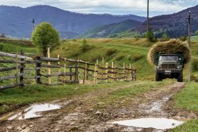 Truck carries hay