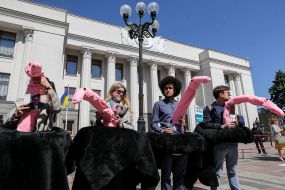 The action "Ostrich parade" near Parliament