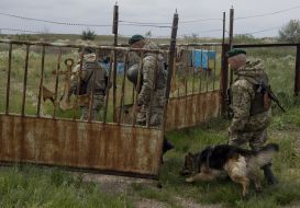 Border guard