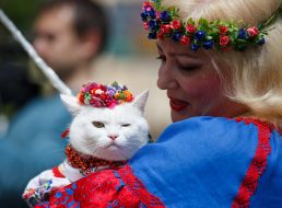 Mehamarsh in embroidery