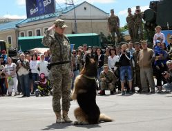 Action of the Ministry of Defense of Ukraine "Army contract"