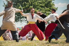 Regional holiday "Cossack glory curative source"