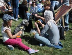 Фестиваль "Країна Чудес Made in Ukraine"