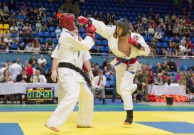 Participants in the Hand-to-Hand Fighting Tournament