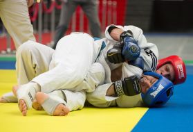 Participants in the Hand-to-Hand Fighting Tournament