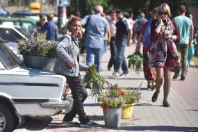 Sale of bouquets of herbs and flowers