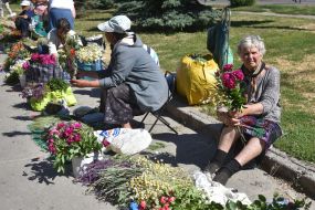 Sale of bouquets of herbs and flowers
