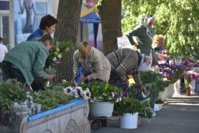 Sale of bouquets of herbs and flowers