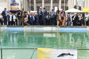 Открытие агропромышленной выставки Агро-2017"