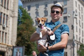 Jack-russel-terrier parade in Kiev
