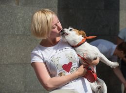 Jack-russel-terrier parade in Kiev