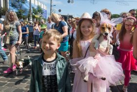 Jack Russell Terrier parade
