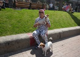 Jack-russel-terrier parade in Kiev