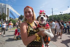 Jack-russel-terrier parade in Kiev