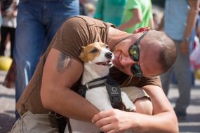 Jack-russel-terrier parade in Kiev