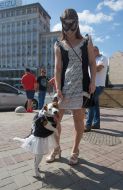 Jack-russel-terrier parade in Kiev