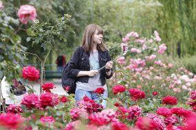 Rose Garden in Botanical Garden in Kyiv