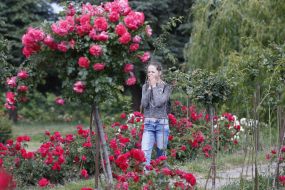 Rose Garden in Botanical Garden in Kyiv