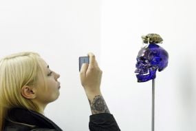 Work "Skull with turtle"