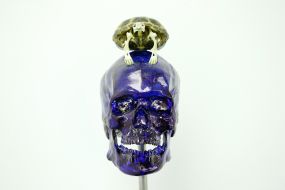 Work "Skull with turtle"