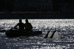 Training of Oleg Ivanenko on the water