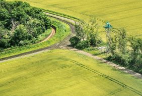 Border in Kharkiv region