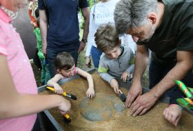 Action "City of Professions"