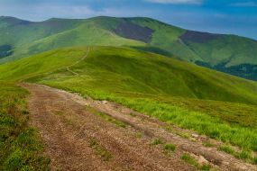 Mountain range Polonina Borzhava