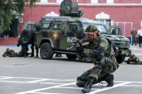 Demonstration of hand-to-hand combat