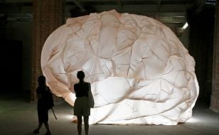 Installation